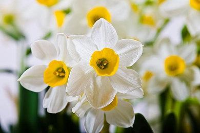 步行模拟游戏《致命频率》今年上线STEAM，将支持简中